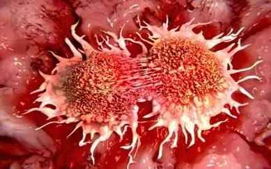 कैंसर-रोधी प्रोटीन की हुई खोज