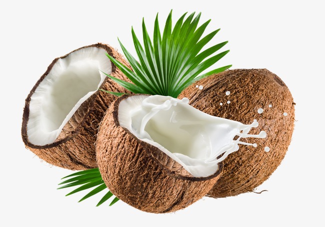 जाने क्यों भगवान के समक्ष फोड़ा जाता है नारियल ?