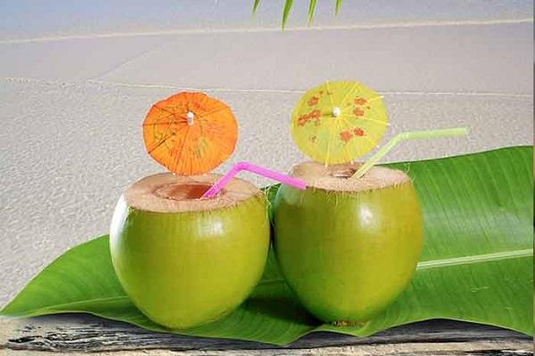 गर्मियों के मौसम में जरूर करें नारियल पानी का सेवन